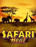 กระทิงปะทะวงล้อ! รีวิวสล็อตกระทิงที่ต้องลอง